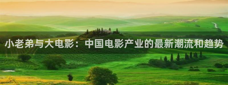 六安紅葉國際影城：小老弟與大電影：中國電影產業的最新潮流和趨勢