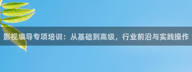 紅葉影院免費觀看電視劇：影視編導專項培訓：從基礎到高級，行業前沿與實踐操作